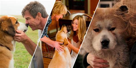 12 Sad Movies That Will Make Want to Hug Your Dog - DramaWired