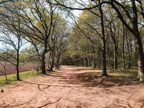 10 Incredible Sherwood Forest Robin Hood Activities - Discover The Legend Of Robin Hood