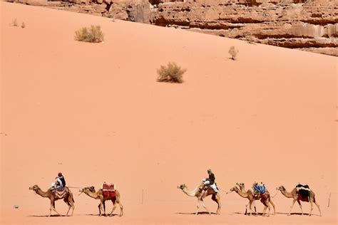 The 14 Best Things to Do in Wadi Rum, Jordan's Desert Destination