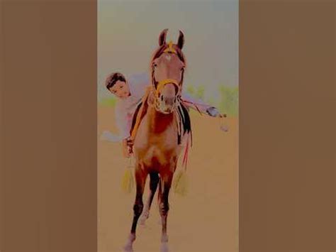 Nezabazi ka sahe tareka | rider name syed wali #youtubeshorts #ytshorts @Gameofhorses - YouTube