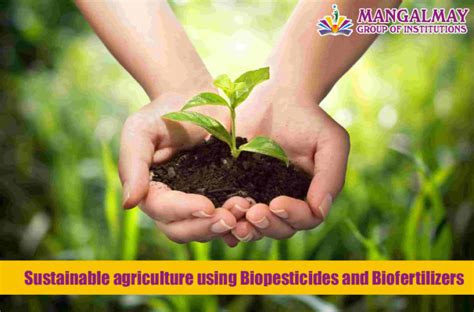 Sustainable agriculture using Biopesticides and Biofertilizers