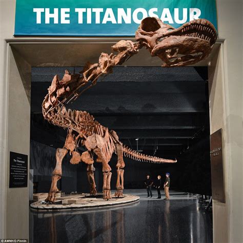 Gigantic TITANOSAUR skeleton unveiled at natural history museum ...