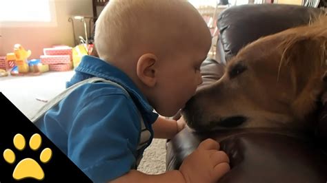 Cute Dogs And Adorable Babies: Funny Compilation - YouTube