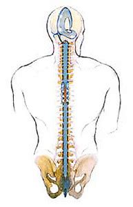 Cranial-Sacral Therapy