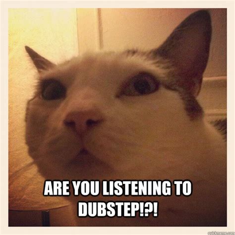 dubstep cat memes | quickmeme