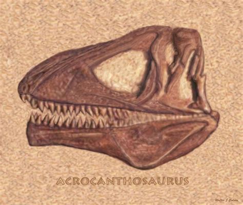 Acrocanthosaurus skull Fossil Large Digital Art by Walter Colvin - Fine Art America