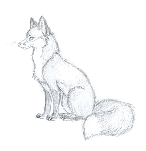 Easy Fox Sketch at PaintingValley.com | Explore collection of Easy Fox Sketch