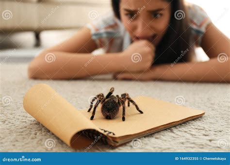 Young Woman and Tarantula. Arachnophobia Fear of Spiders Stock Image ...