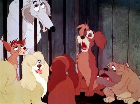 Pound Dogs, (Lady and the Tramp) | Disney Versus Non-Disney Villains Wiki | FANDOM powered by Wikia