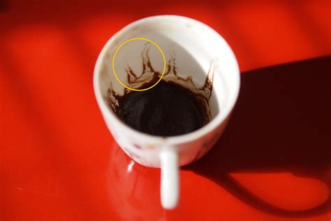 Turkish Coffee Fortune Telling : 5 Steps (with Pictures) - Instructables