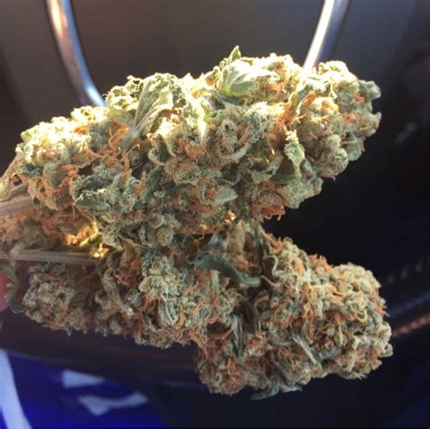 Tangerine Dream | buy marijuana online | buy weed online 164