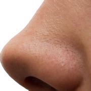 Nose PNG HD Image | PNG All