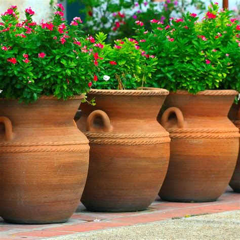 30+ Outdoor Large Flower Pots – ZYHOMY