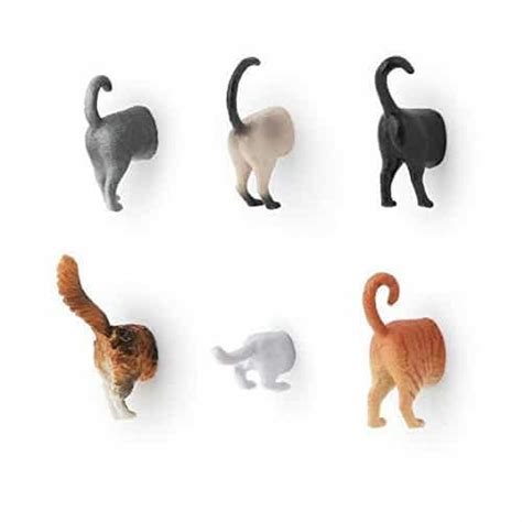 Cat Butt Magnets