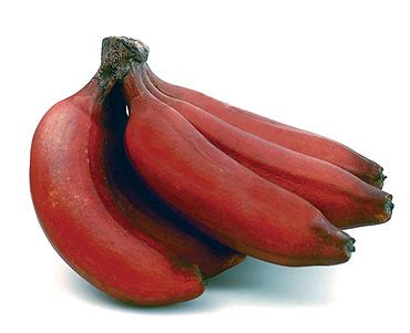 The Health Benefits of Red Banana | Health Benefits