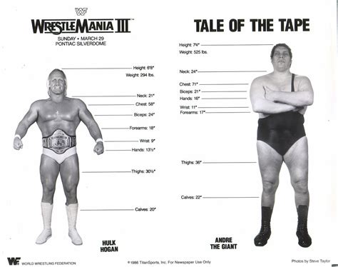 Hulk Hogan vs Andre The Giant Tale Of The Tape | Wwf superstars ...