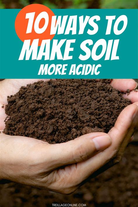 How to Make Soil More Acidic? – 10 Methods | Soil texture, Soil ...