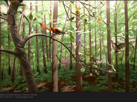 Woodland Forest Diorama | woodland forest diorama image search results