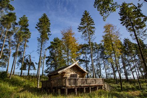 Rustic Camp Cabin Free Stock Photo - Public Domain Pictures