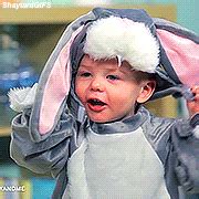 Easter Bunny GIF - Find & Share on GIPHY