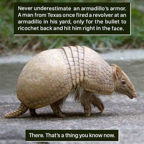 Weird Animal Facts That Will Change The Way You Look At Nature