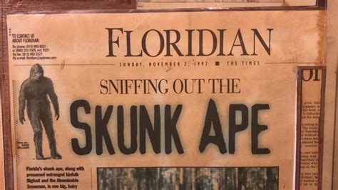 'In The Everglades, Anything Is Possible': Legend Of Florida's Skunk Ape Lives On - CBS Miami