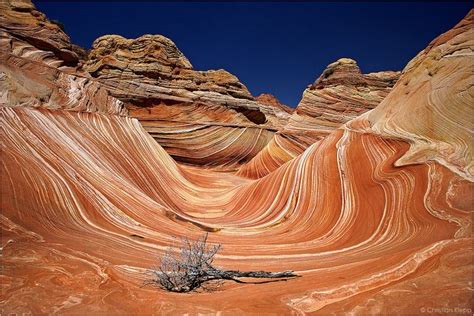 The Wave | Escalante national monument, Grand staircase national monument, Grand staircase escalante