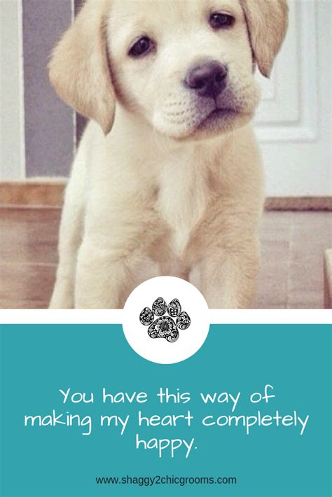 Puppy love quotes. | Puppy love quotes, Puppy love, Puppies