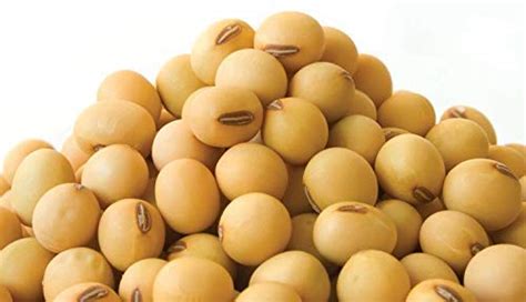 soybeans seed – Goldenfoodsaps