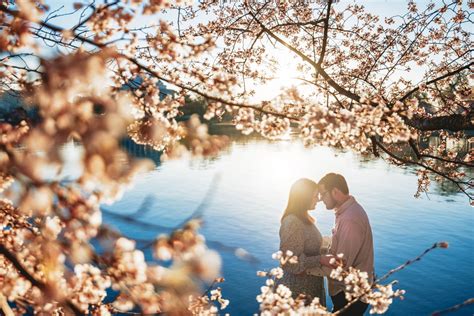 Cherry Blossom Photoshoot Tips | Capturing the Beauty of Spring