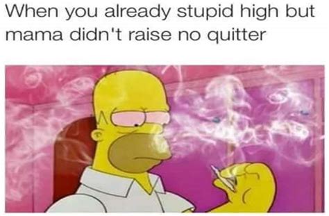 As 25 melhores ideias de Weed memes humor no Pinterest