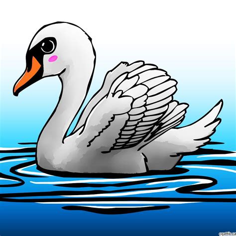 Cartoon Swan Drawing in 4 Steps With Photoshop | Swan drawing, Drawings ...