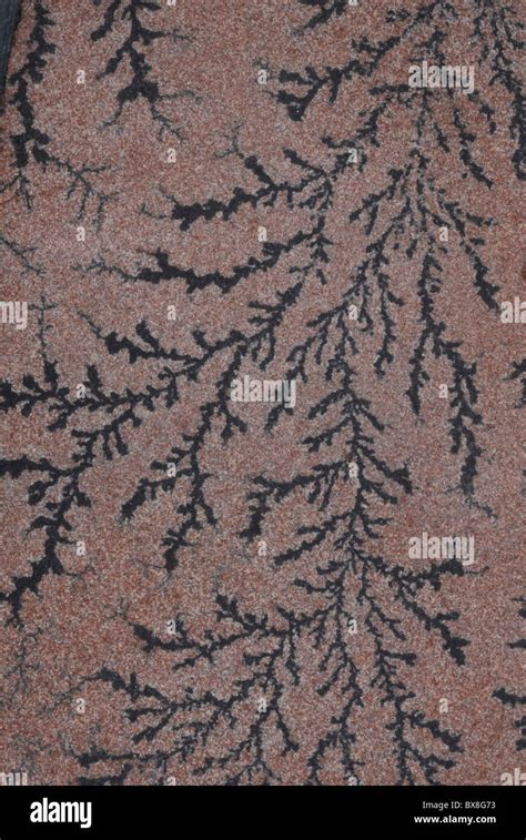 Manganese dendrite pseudofossils Stock Photo - Alamy