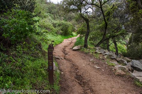 This Week in San Diego Hiking - December 12, 2016 - Hiking San Diego County