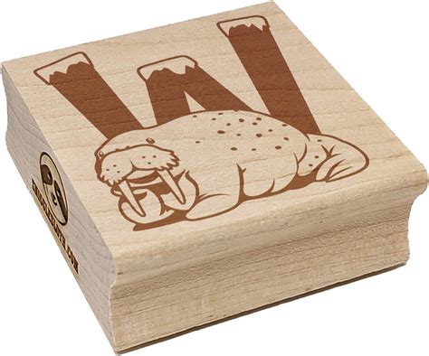 Amazon.com: Animal Alphabet Letter W for Walrus Square Rubber Stamp for Stamping Crafting - 1 ...