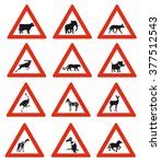 Horse Crossing Highway Sign Free Stock Photo - Public Domain Pictures