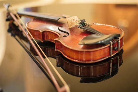Violin - History, Construction, Parts & Makers - Phamox Music