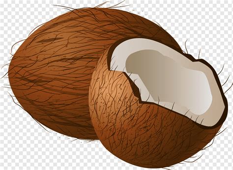 Coconut water Coconut milk, Coffee cartoon coconut, cartoon Character, brown, food png | PNGWing