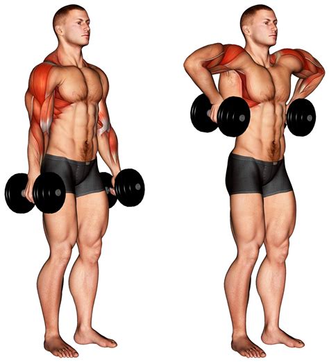 How To Do The Dumbbell Raise – Fitness Volt