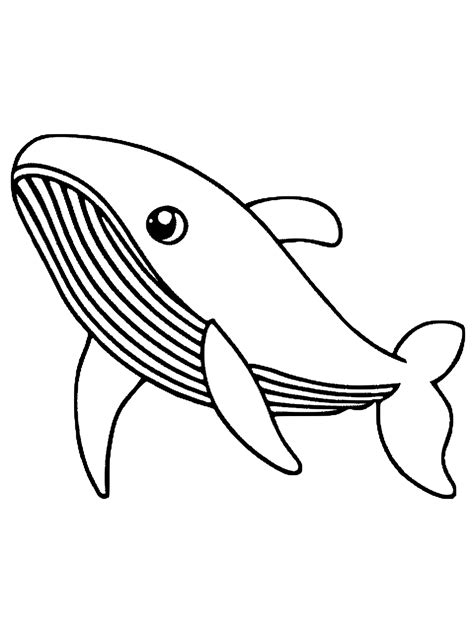 Whale Underwater Coloring Page · Creative Fabrica