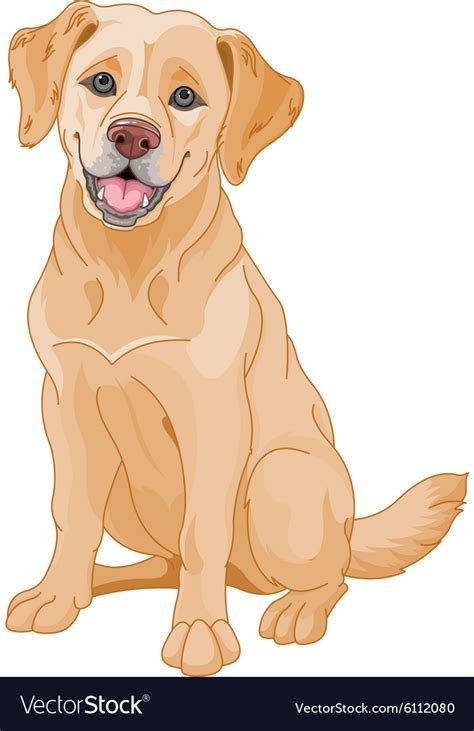 Golden retriever Royalty Free Vector Image - VectorStock