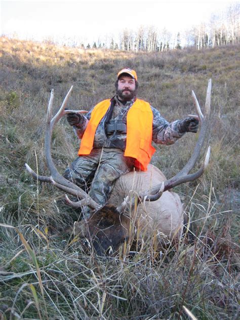 Semi Guided Elk Hunts In Colorado - Elk & Mule Deer Hunting | Colorado Elk Camp Outfitters