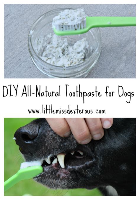 DIY All-Natural Toothpaste for Dogs in 2020 | Dog toothpaste, Dog ...