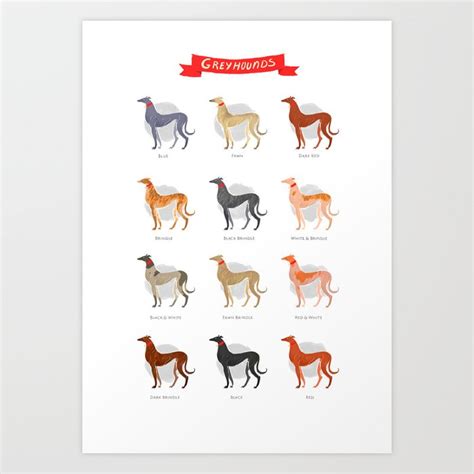 Greyhound Color Chart Art Print by KatNicoleB | Society6