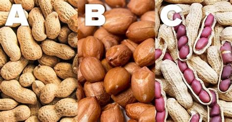 Boiled Peanuts Benefits And Nutrition Facts- Soup Junction