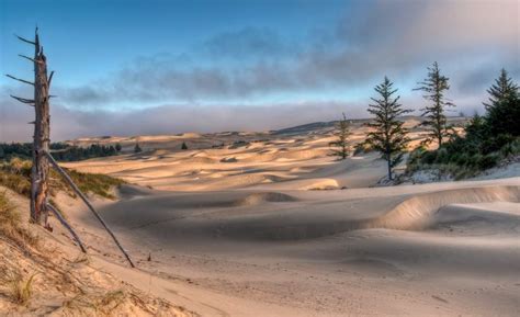 Oregon Sand Dunes | Sand dunes, Oregon coast, Sand