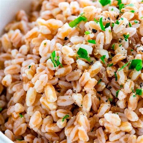 Ingredienta | Granos, Semillas y Cereales > Farro Perlado