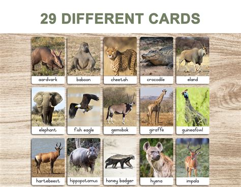 Safari Animals │ Flash Cards │ Montessori 3 Part Cards - Printable • Moon Child South Africa