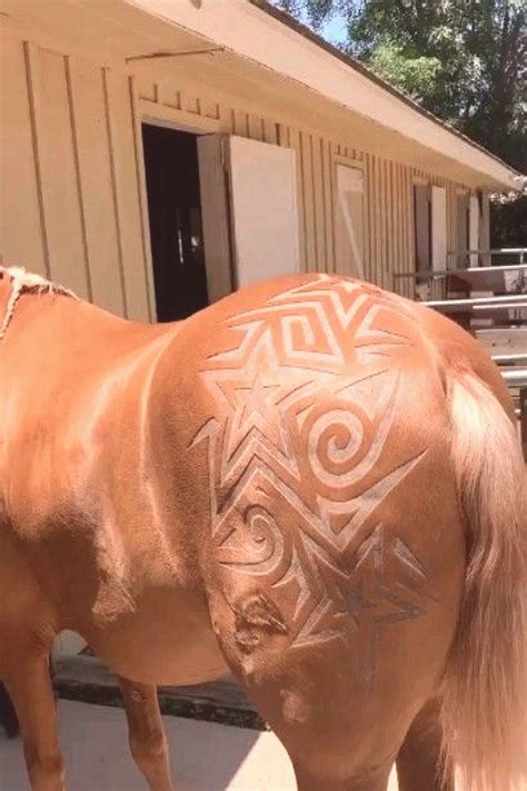 Incredible artwork in horse hair created by Mexican barber robtheoriginal Incredible artw in ...