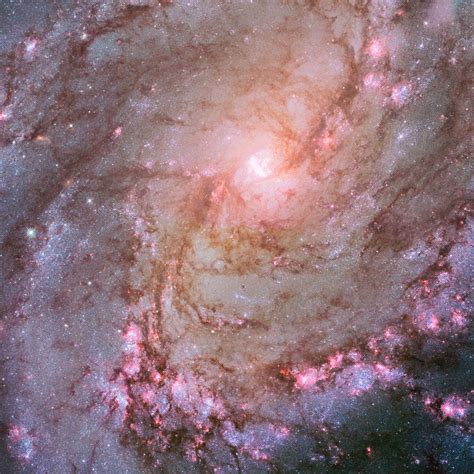 Images Gratuites : cosmos, télescope, espace, poussière, Nasa ...